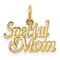 10K Yellow Gold Special Mom Charm Mother Jewelry New 15 X 21mm